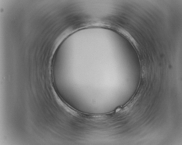 X0000073721483200608241219