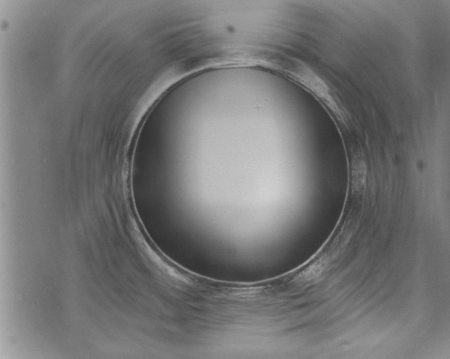 X0000073721484200608241219