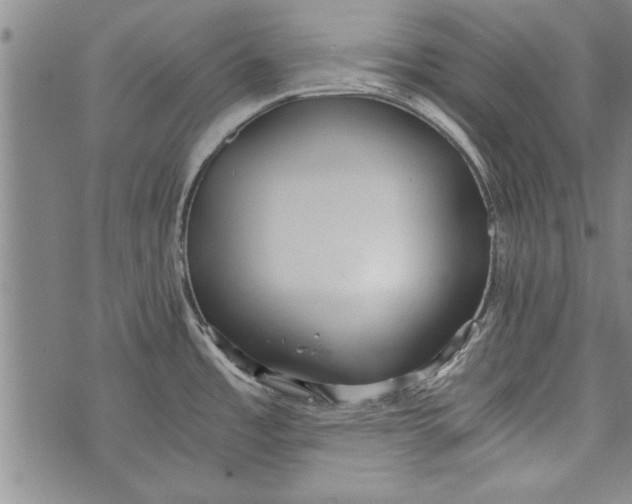 X0000073721485200608241219