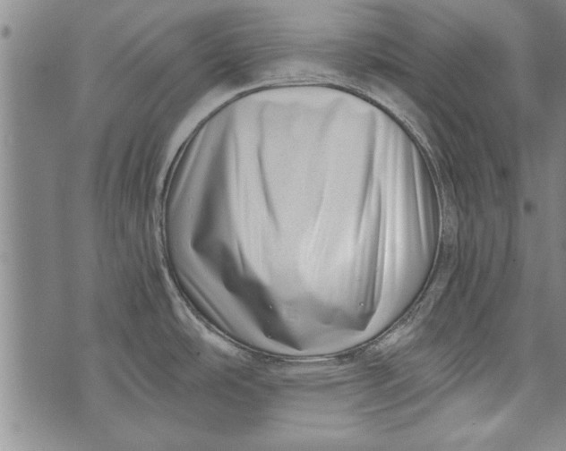 X0000073721486200608241219