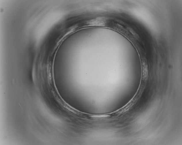 X0000073721487200608241219