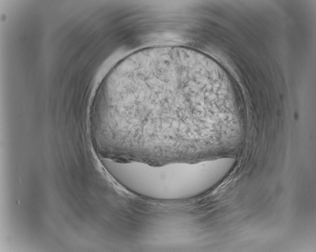 X0000073721488200608241219