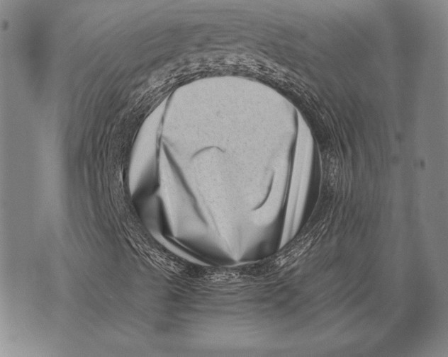 X0000073721489200608241218