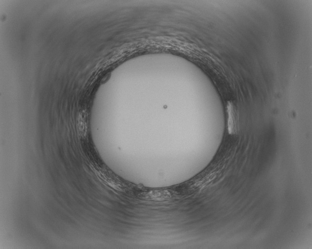 X0000073721491200608241219