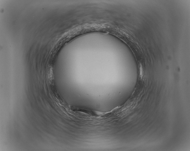 X0000073721492200608241219