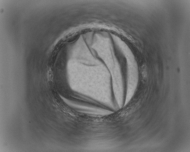 X0000073721495200608241219