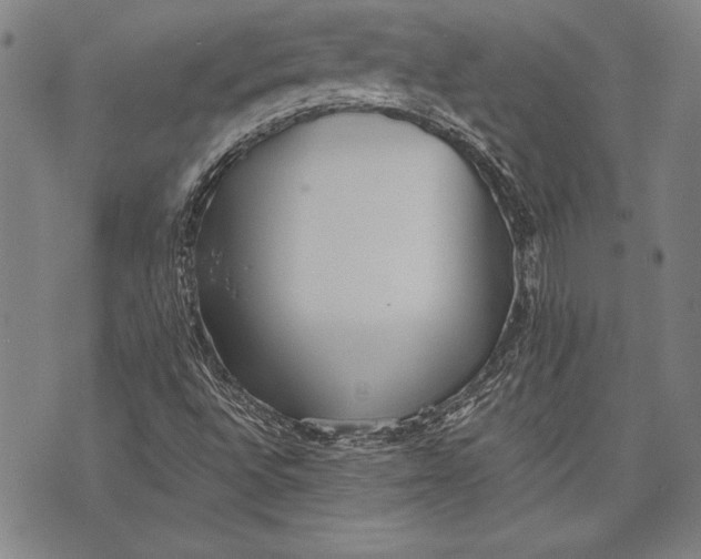 X0000073721496200608241219