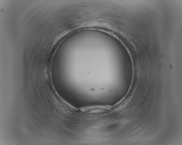 X0000073721497200608241219