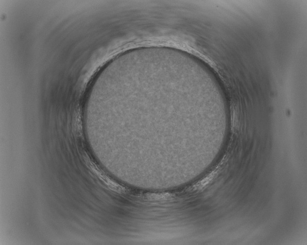 X0000073721498200608241219