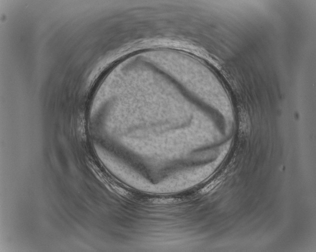 X0000073721499200608241219