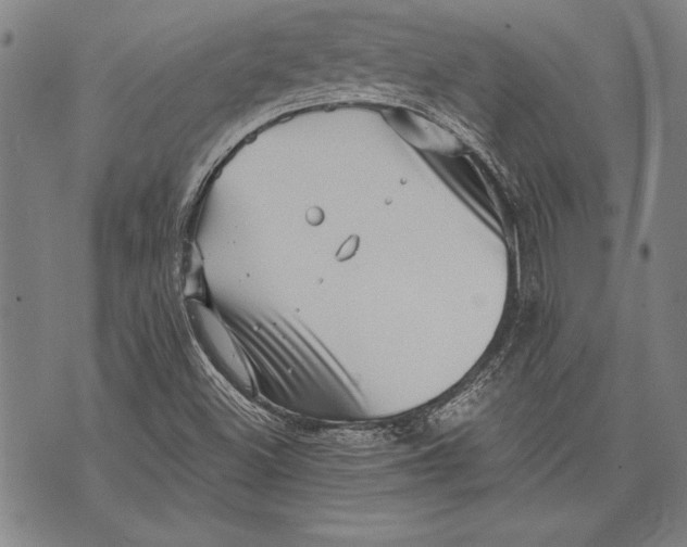 X0000073721500200608241219