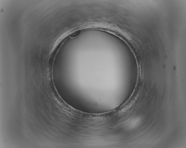 X0000073721501200608241219