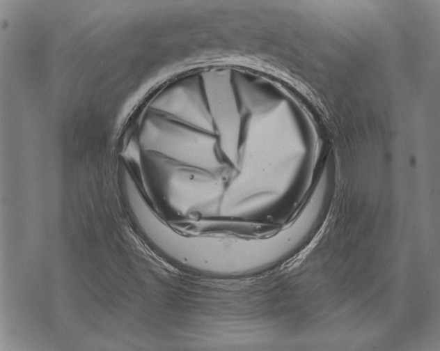 X0000073721502200608241219