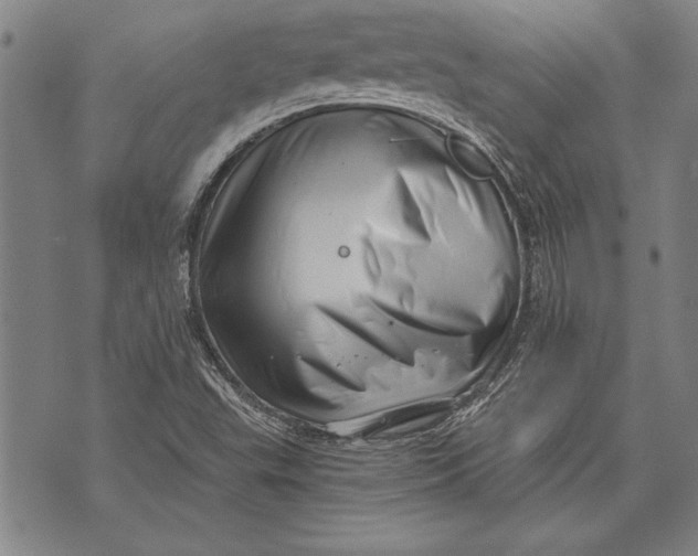 X0000073721503200608241219