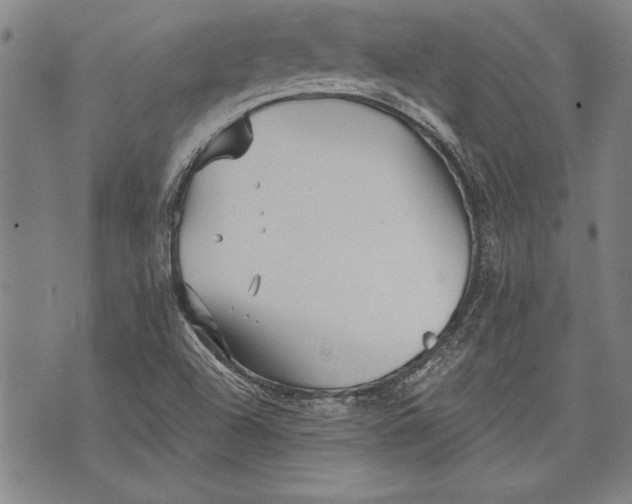 X0000073721504200608241219