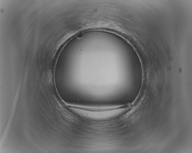 X0000073721505200608241219