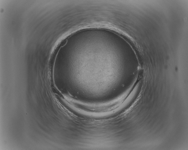 X0000073721506200608241219