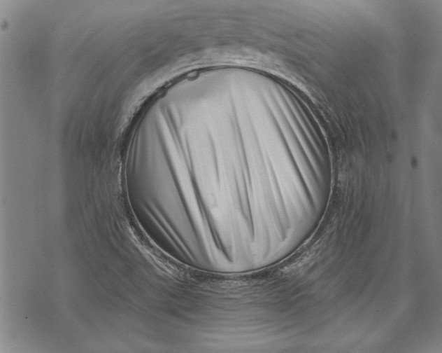 X0000073721507200608241219