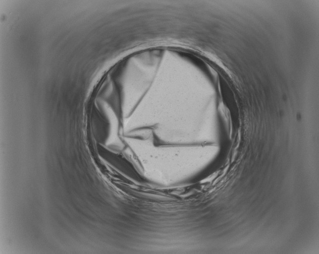 X0000073721508200608241219