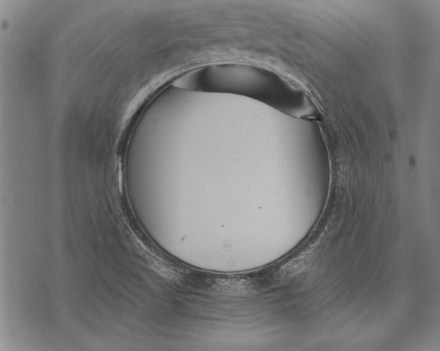 X0000073721509200608241219