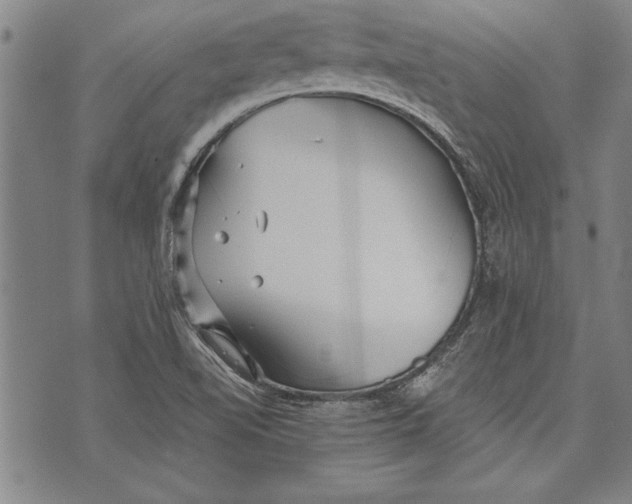 X0000073721510200608241219