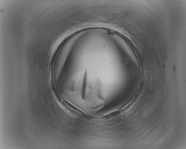 X0000073721511200608241219