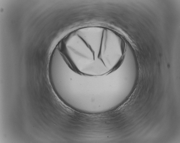 X0000073721512200608241219