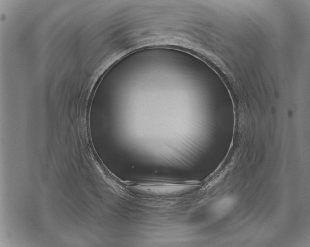 X0000073721513200608241219