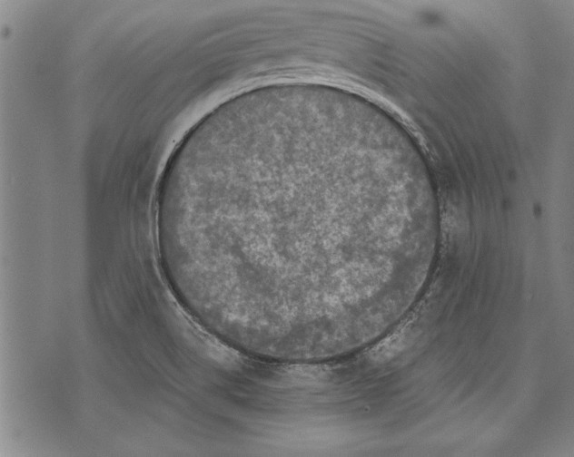 X0000073721514200608241219