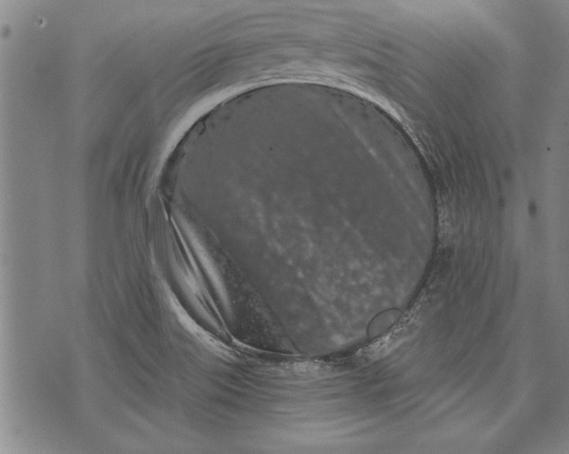 X0000073721515200608241219