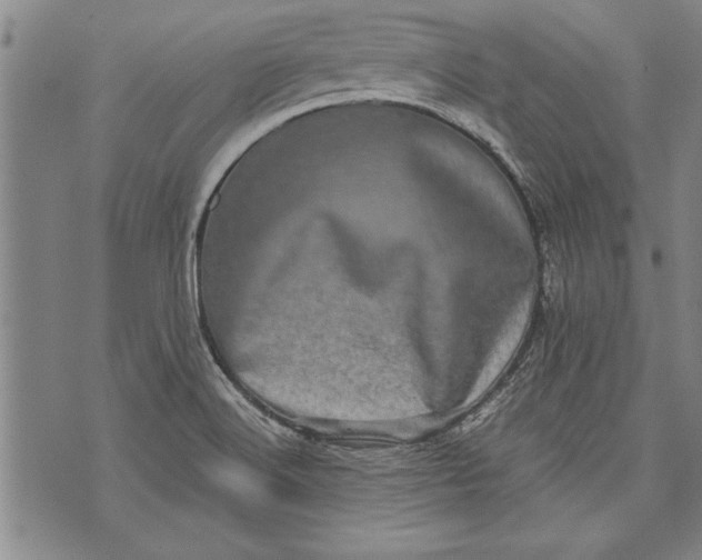 X0000073721516200608241219