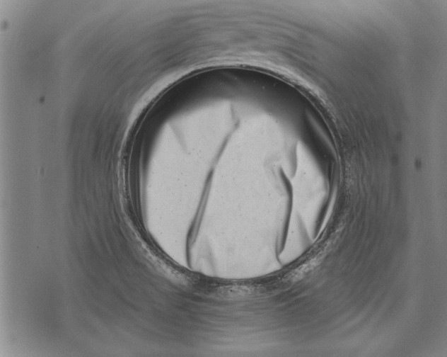 X0000073721517200608241219