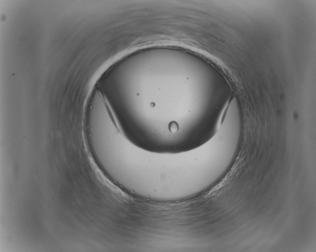 X0000073721518200608241219