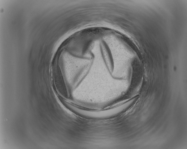 X0000073721519200608241219