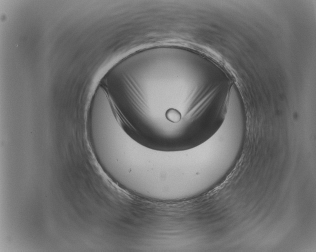 X0000073721520200608241219