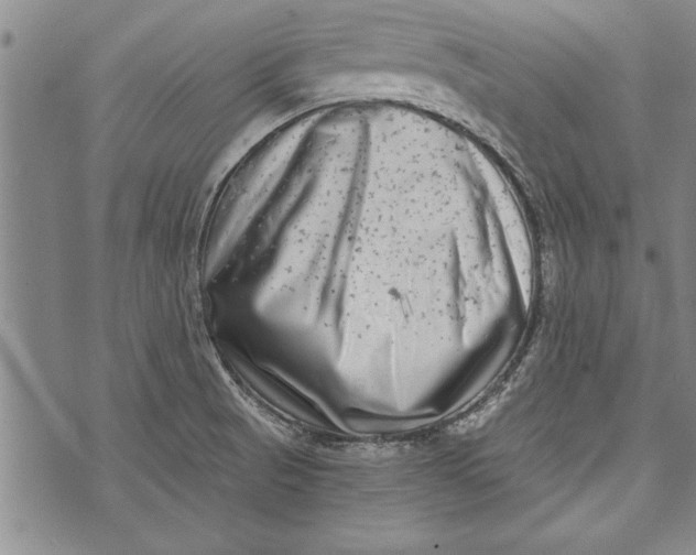 X0000073721521200608241219