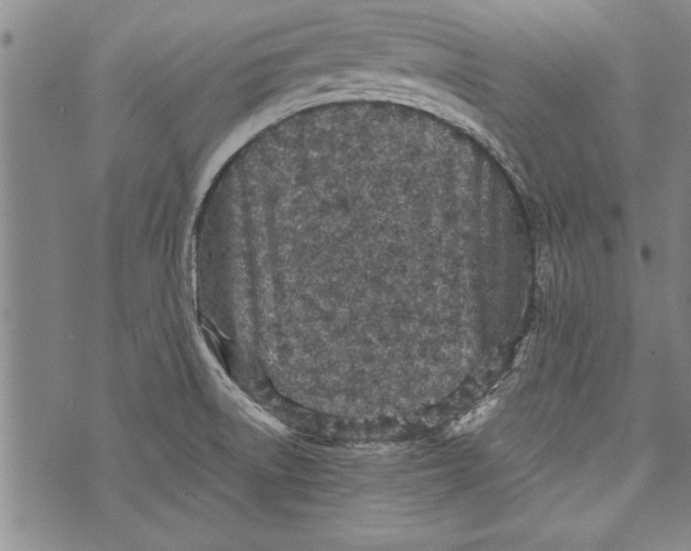 X0000073721522200608241219