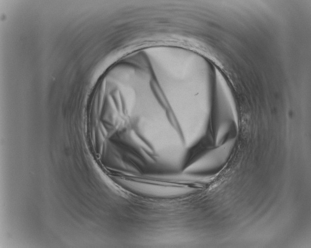 X0000073721523200608241219