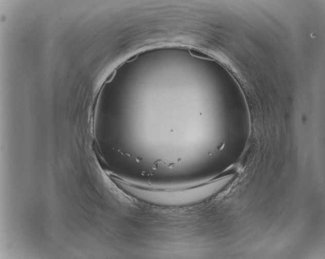 X0000073721524200608241219