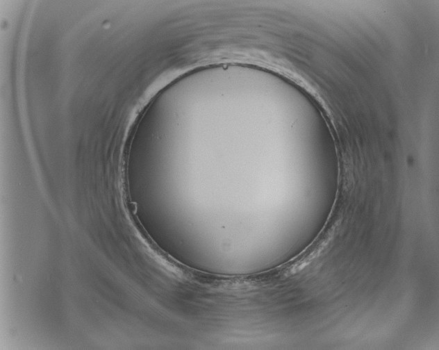 X0000073721525200608241219