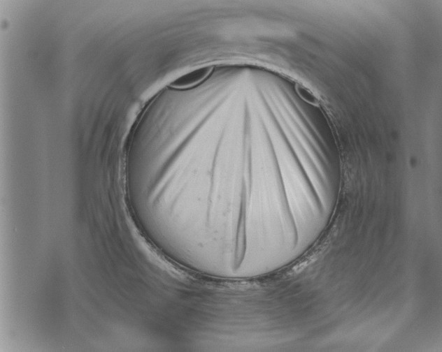 X0000073721526200608241219