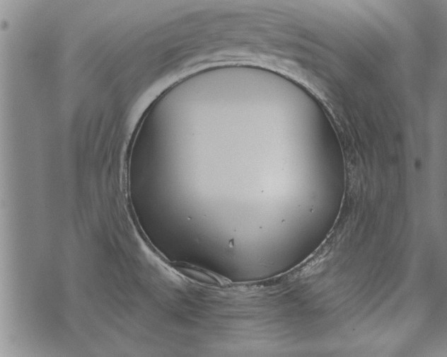 X0000073721527200608241219