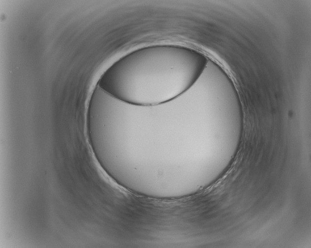 X0000073721528200608241219