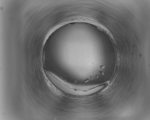 X0000073721530200608241219