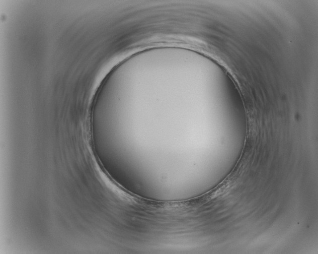 X0000073721531200608241219