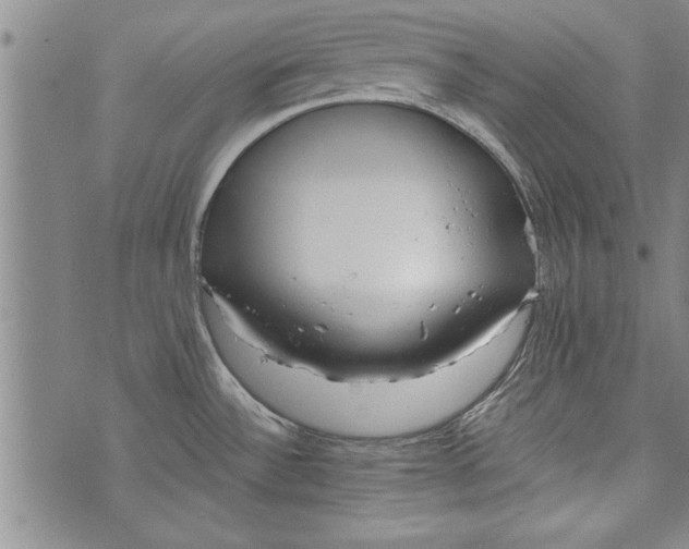 X0000073721532200608241219