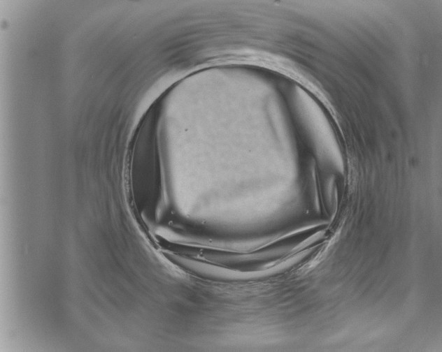 X0000073721533200608241219