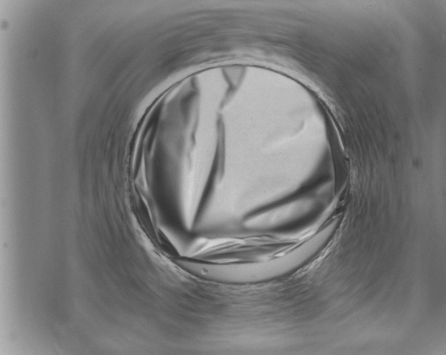 X0000073721534200608241219