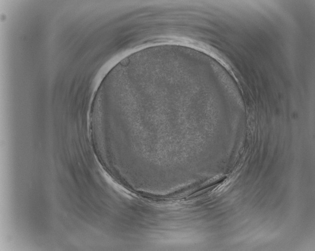 X0000073721535200608241219