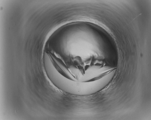 X0000073721536200608241219